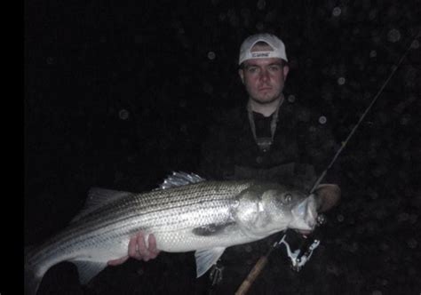 stripers online fishing forum massachusetts|Massachusetts Fishing .